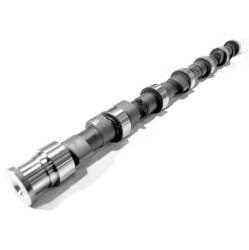 Camshafts & Valvetrain | 2008-2010 Ford Powerstroke 6.4L - Camshafts