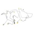 Freedom Injection - New GM DS 6.5 DieselFuel Injection Line Set | 1994-2001 GM 6.5L Diesel