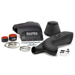 Banks Power - Banks Power  Ram-Air Cold-Air Intake System, Dry Filter | 2011-2014 Ford F-150, 3.5L EcoBoost