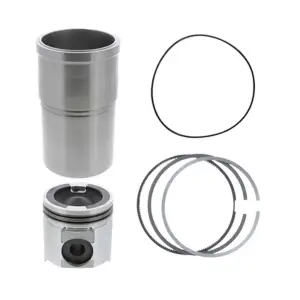 NEW Cummins L10 Cylinder Kit | 3800801, 3803632, 3803465