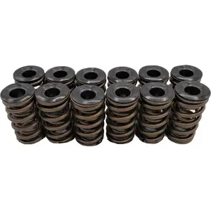 Hamilton Cams Cummins 12V Dual Valve Springs | 07-S-002 