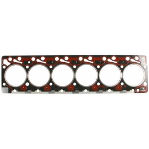 NEW 5.9 Cummins Cylinder Head Gasket | 4068D