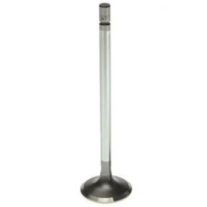 08-10 Ford 6.4 Powerstroke Intake Valve | 2008-2010 Ford Powerstroke 6.4L