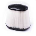 S&B CR-42158D Filters for Competitors Intakes Cross Reference: Banks 42158 (Disposable, Dry)