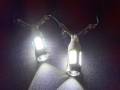Outlaw Lights - T15 6 Watt High Power White LED Reverse Bulbs - Outlaw Lights - Image 3