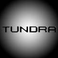 RECON Black Raised Letter Tailgate Inserts | 2014-2017 Toyota Tundra