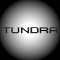 RECON Carbon Fiber Raised Letter Tailgate Inserts | 2014-2017 Toyota Tundra