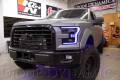 Diode Dynamics - Diode Dynamics F-150 MULTICOLOR LED BOARDS | DDYDD2004 | 2015-2017 Ford F150 - Image 3