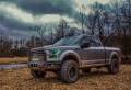 Diode Dynamics - Diode Dynamics F-150 MULTICOLOR LED BOARDS | DDYDD2004 | 2015-2017 Ford F150 - Image 6