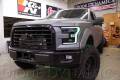 Diode Dynamics - Diode Dynamics F-150 MULTICOLOR LED BOARDS | DDYDD2004 | 2015-2017 Ford F150 - Image 5