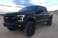 Diode Dynamics - Diode Dynamics F-150 SWITCHBACK LED BOARDS | DDYDD2005 | 2015-2017 Ford F150 - Image 3