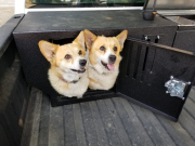 The Fuelbox - The Fuelbox Dog Box/Toolbox Combo | DB6220T | Multi-Vehicle Fitment - Image 4