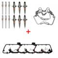 Injectors, Lift Pumps & Fuel Systems - Lift Pump & Performance Packages - Freedom Injection - 5.9 Cummins NEW Bosch Injector Replacement Super Kit | 0445120238 | 2004.5-2007 Dodge Cummins 5.9L