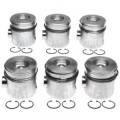 Engine Components  - Pistons - Freedom Injection - 2003-2004 5.9L HIGH OUTPUT Dodge Cummins Pistons & Rings Set