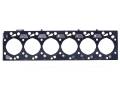 Engine Components  - Head Gaskets - Freedom Injection - 03-07 5.9L Dodge Cummins Head Gasket | 3958645, 54557 | 2003-2007 Dodge Cummins 5.9L