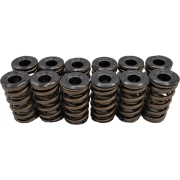 Hamilton Cams Cummins 12V Dual Valve Springs | 07-S-002 | 1989-1998 Dodge Cummins 5.9L