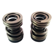 Dynomite Diesel 5.9 Cummins 12V 3/4K Governor Spring Kit | 1994-1998 Dodge Cummins 5.9L (2)