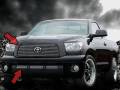 Toyota Tundra - Toyota Tundra Grilles - Dale's - Toyota 2007-2009 Tundra (Complete Set) Polished Aluminum Billet Grilles